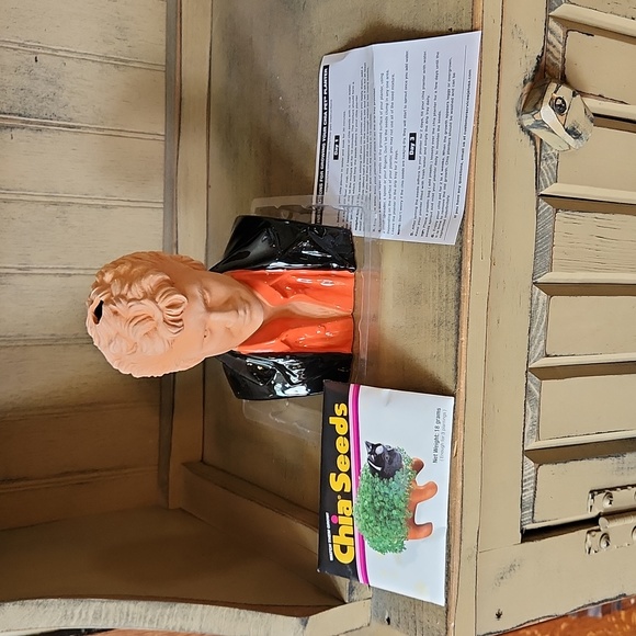 Hasselhoff Chia Pet - Picture 6 of 6